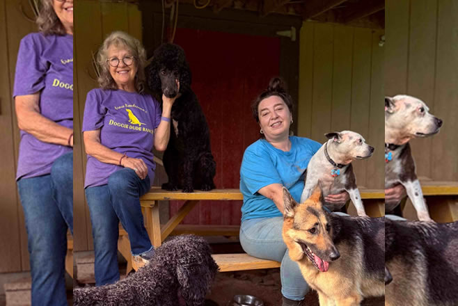 about us image owner with their dog